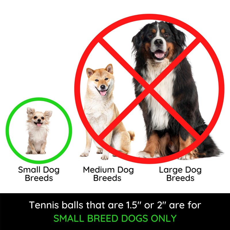 Midlee 2" Yellow/Orange Small Dog Tennis Balls (12-Pack) - Image 5